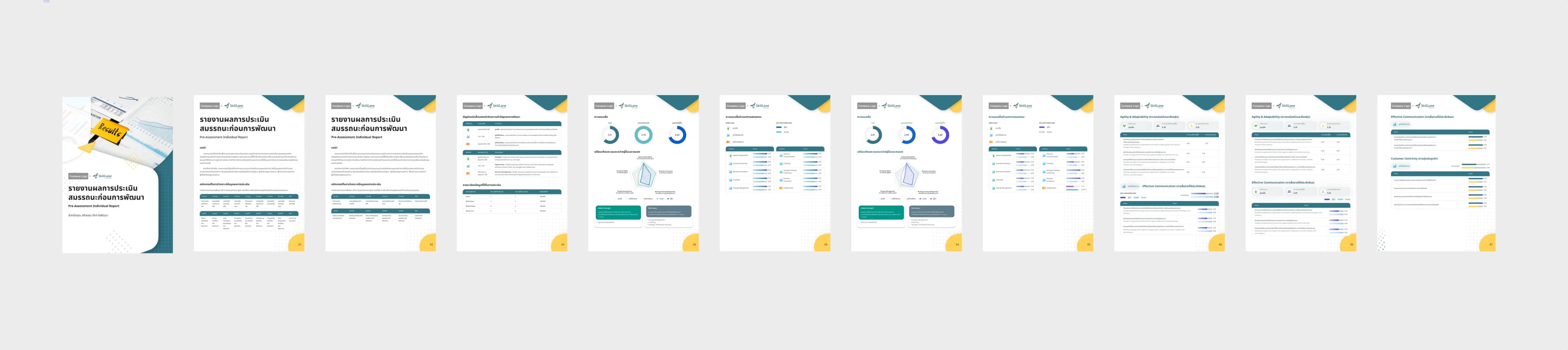Overview of the multi-page competency report with tables and charts